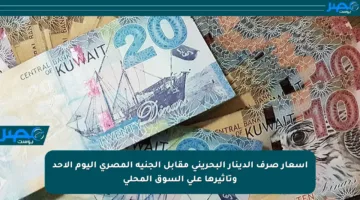 أسعار صرف الدينار البحريني مقابل الجنيه المصري اليوم الأحد وتأثيرها على السوق المحلي